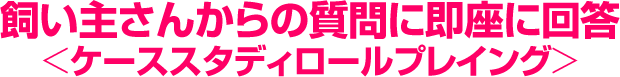 飼い主さんからの質問に即座に回答＜ケーススタディロールプレイング＞