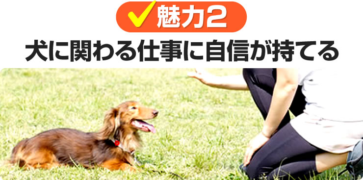 犬に関わる仕事に自信が持てる