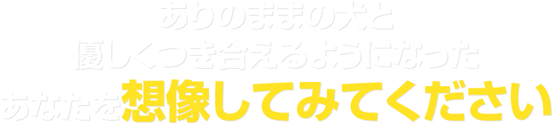 ありのままの犬と優しくつき合えるようになったあなたを想像してみてください