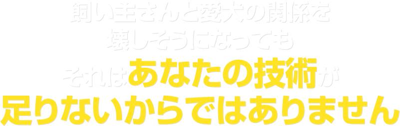 飼い主さんと愛犬の関係を壊しそうになってもそれはあなたの技術が足りないからではありません