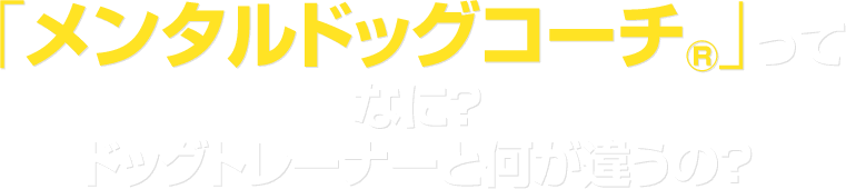 「メンタルドッグコーチ®」ってなに？ドッグトレーナーと何が違うの？